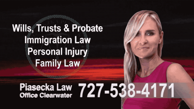 North Port Wills, Trusts, Probate, Immigration, Lawyer, Attorney, Polish, Accidents, Personal Injury, Divorce, Family Law, Agnieszka Piasecka
